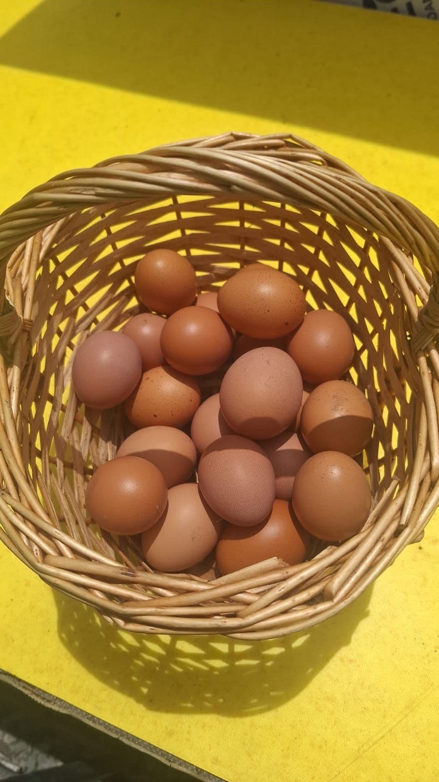 Ovo fresco 😋